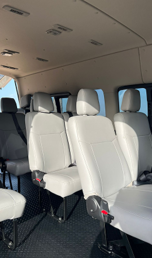 Van Shark Line Inside