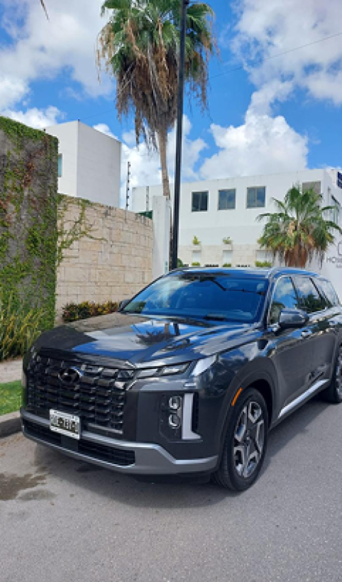 Front Side SUV Signature Transfers Shark