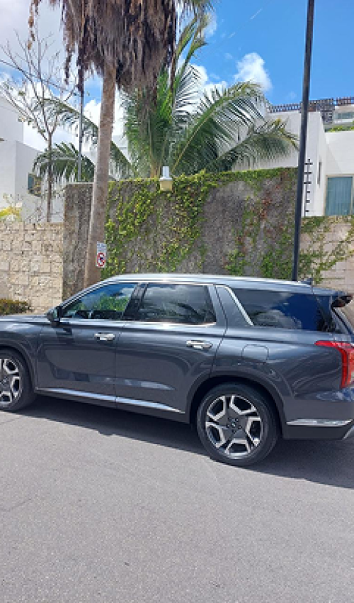 Signature SUV Transfers Shark